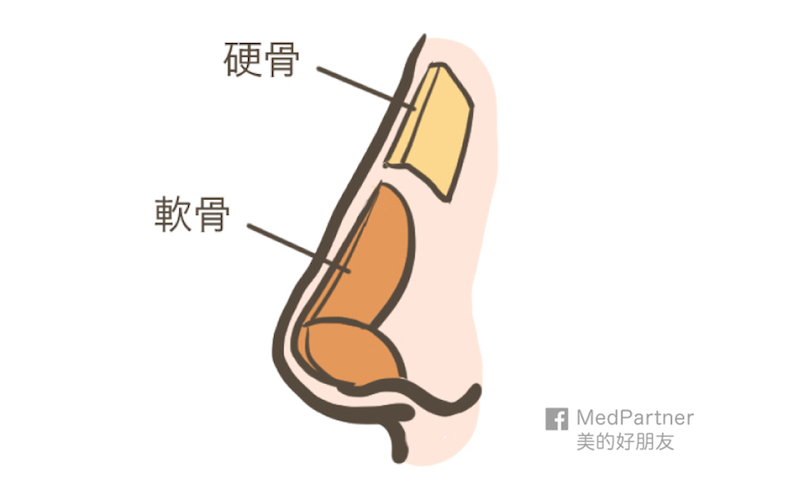 鼻部解剖