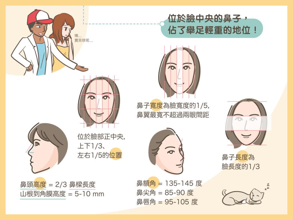 鼻子與五官的關係