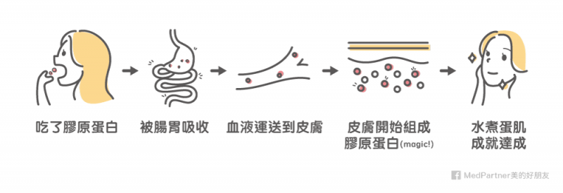 膠原蛋白_大眾想像