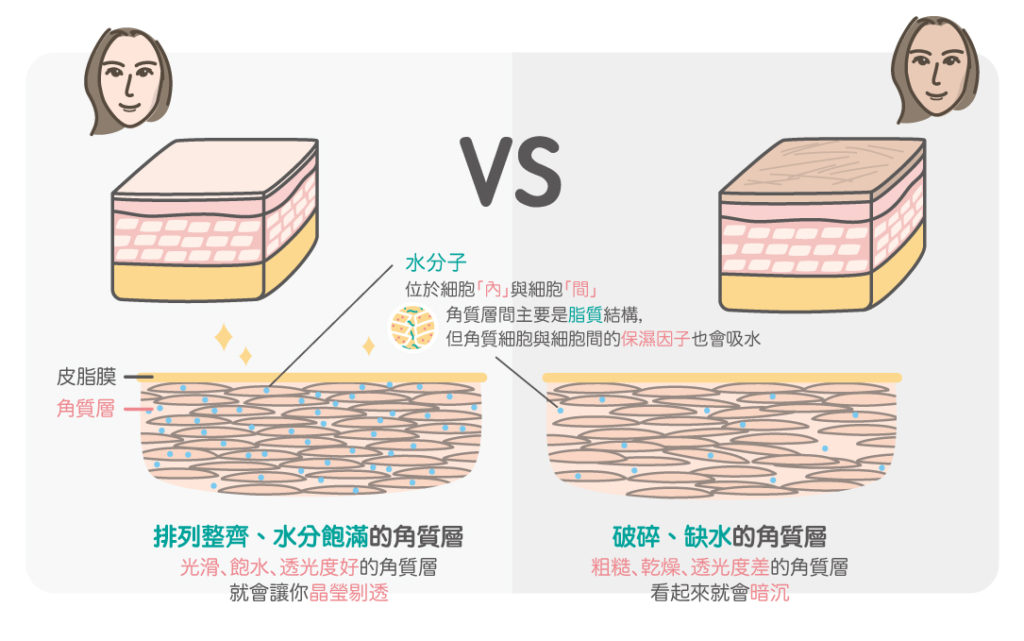 角質對比