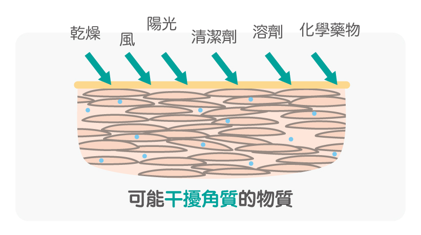 美白3角質_干擾角質