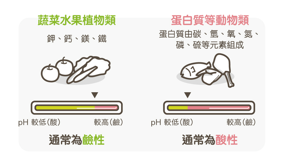 食物酸鹼性2