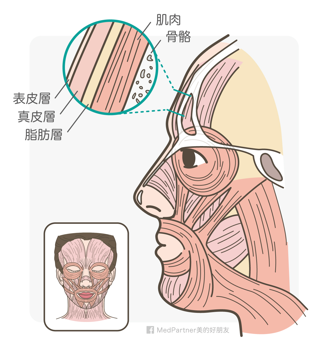 額頭