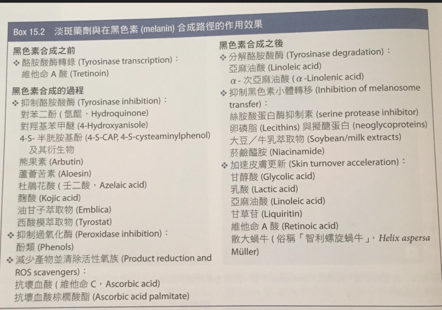 淡斑藥劑