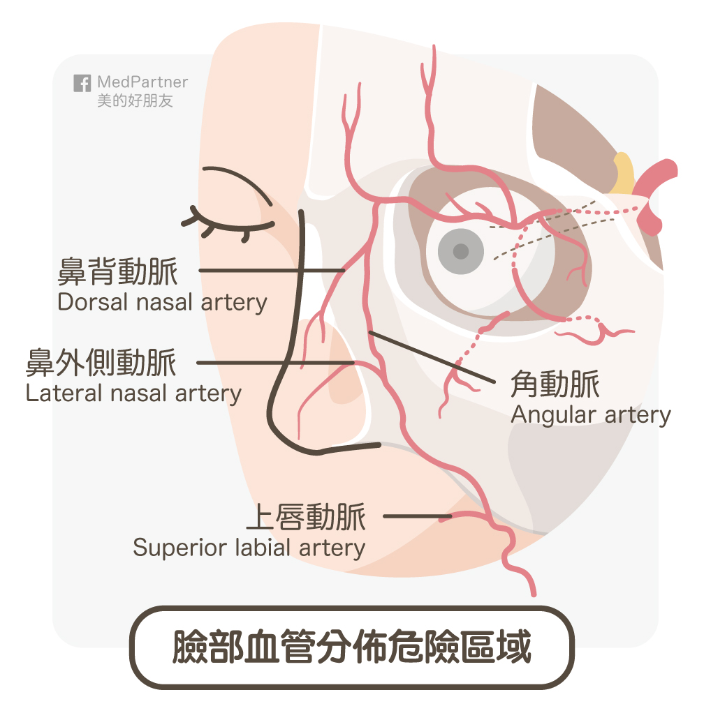 臉部危險血管