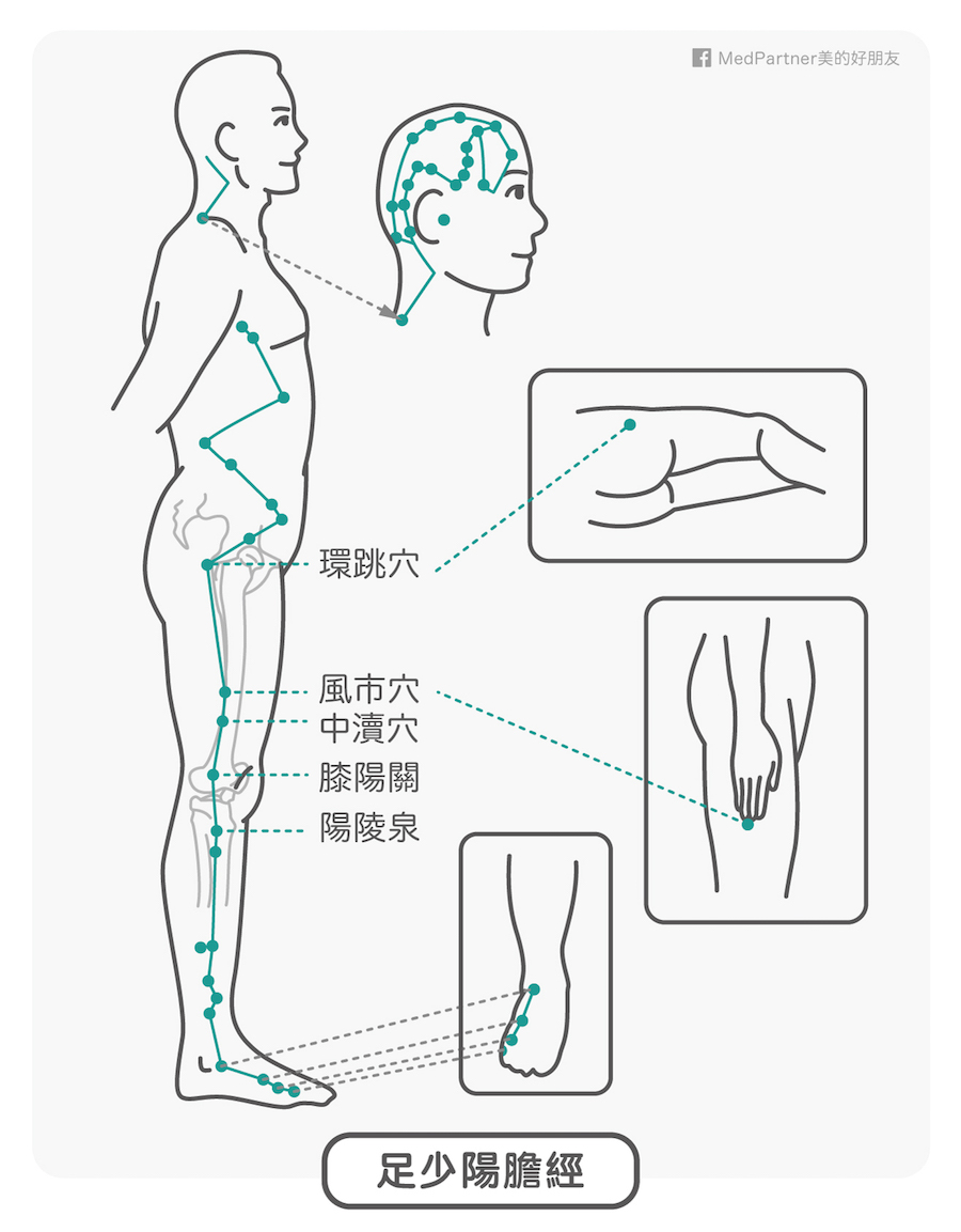 足少陽膽經