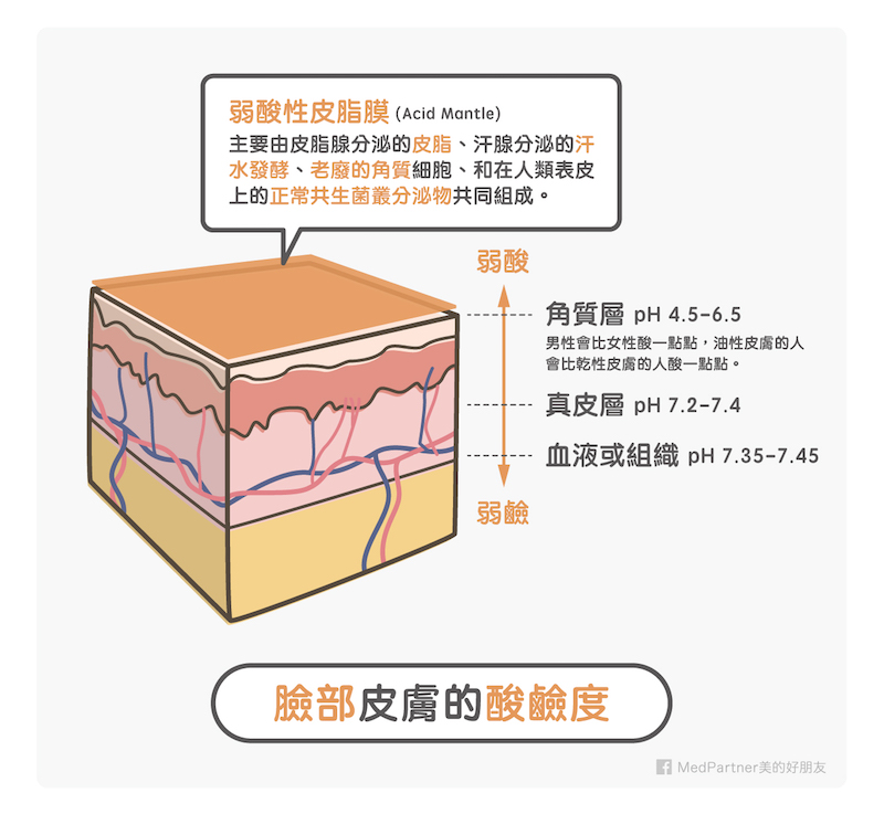 å¼±é¸æ§ç®èèï¼¿ç®èé¸é¹¼å¼