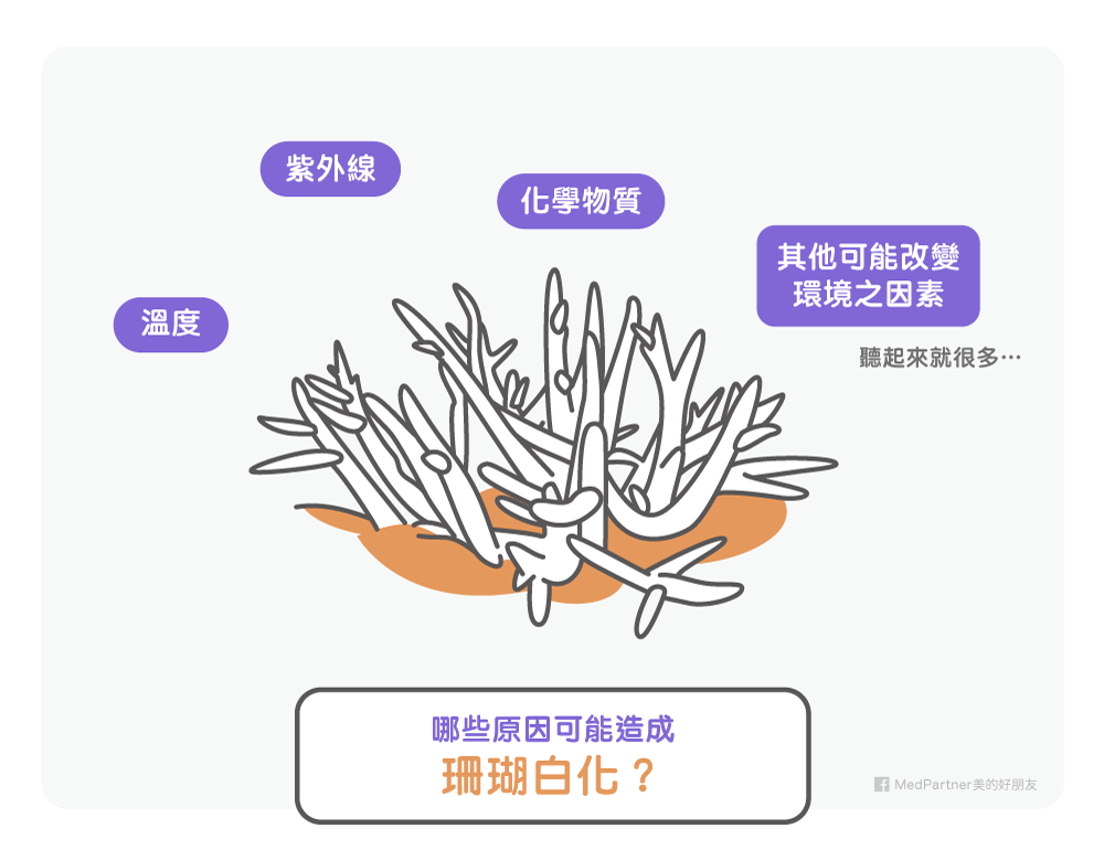 珊瑚白化原因