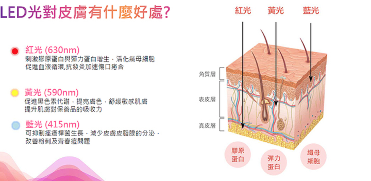 LED面膜儀業者公開說明圖片