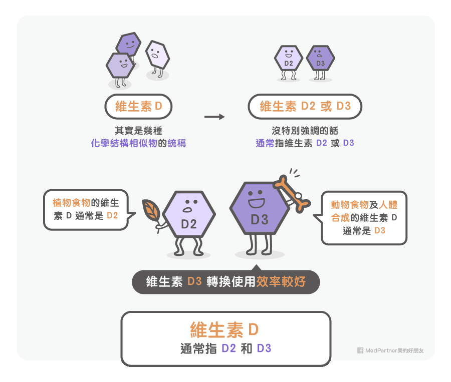 補充維生素的食物