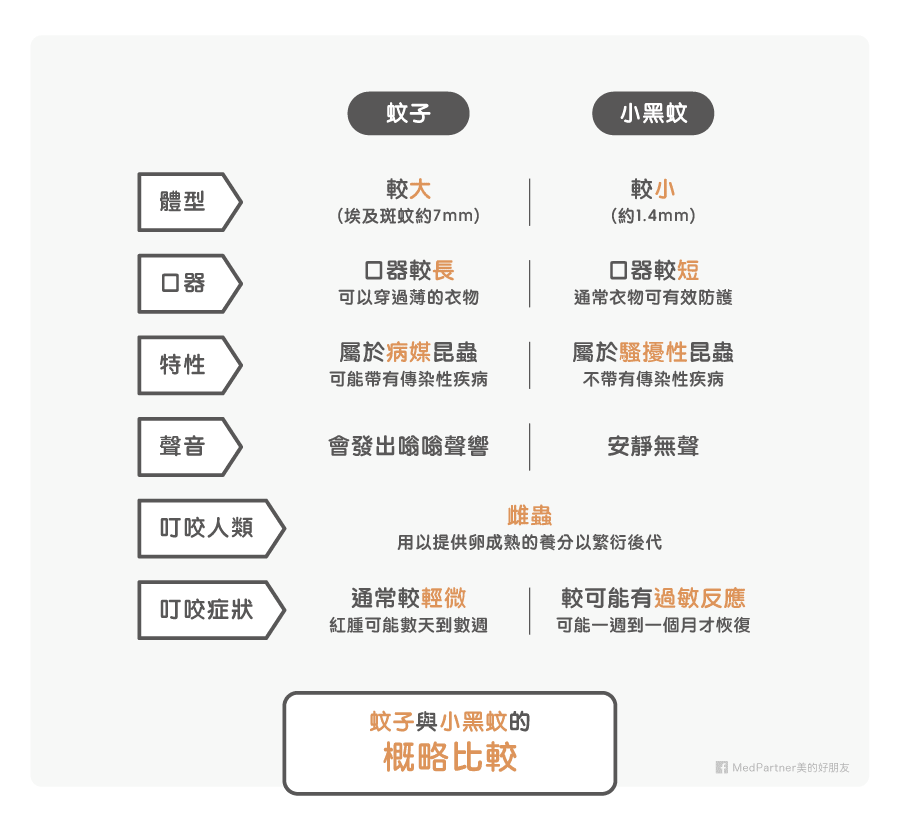 蚊子與小黑蚊概略比較