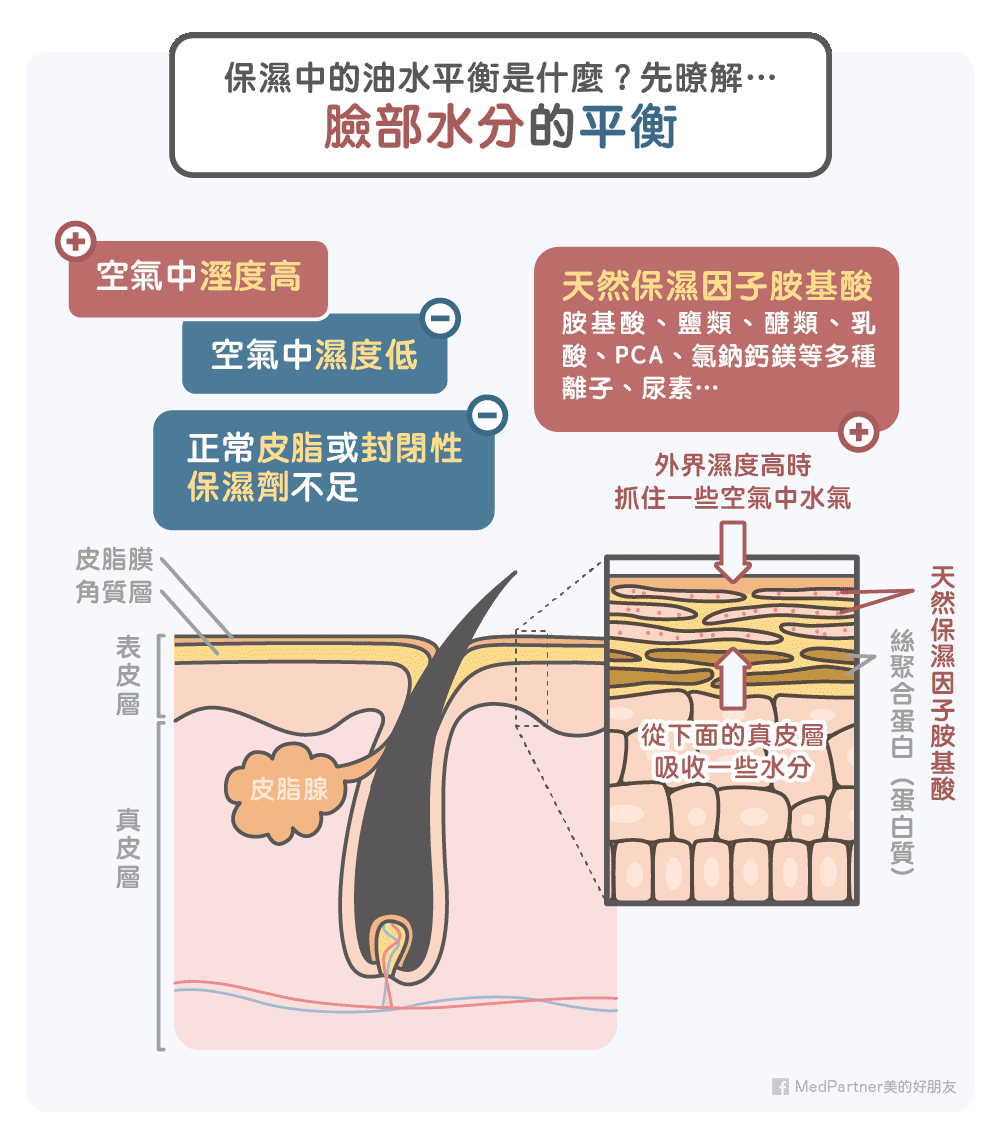 臉部水分平衡