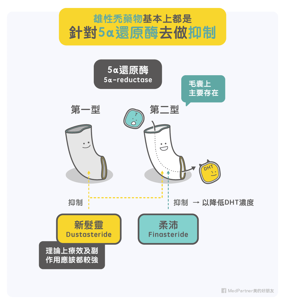 雄性禿藥物作用機制