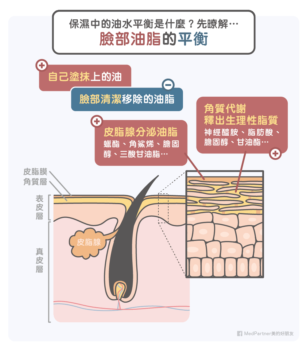 臉部油脂平衡