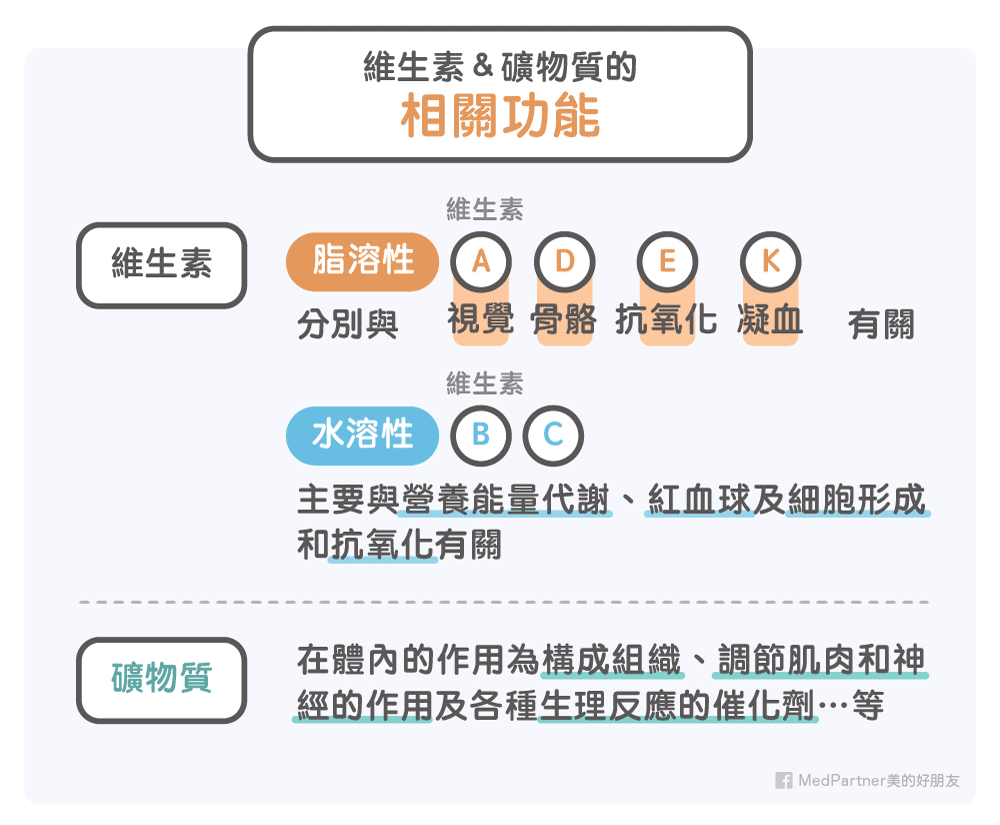 維生素與礦物質的相關功能