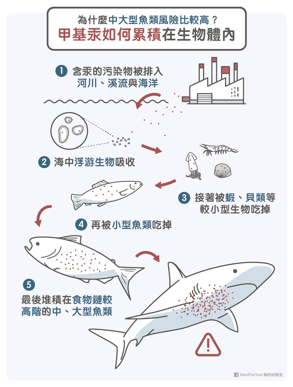 生物放大作用