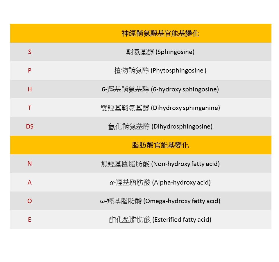 神經醯胺的命名規則及其相對應之結構變化