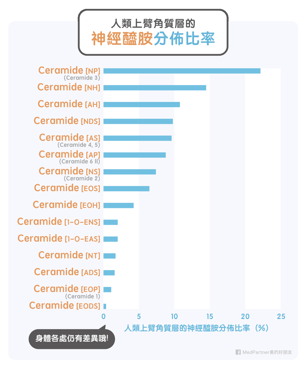 人類上臂角質層神經醯胺分布比率