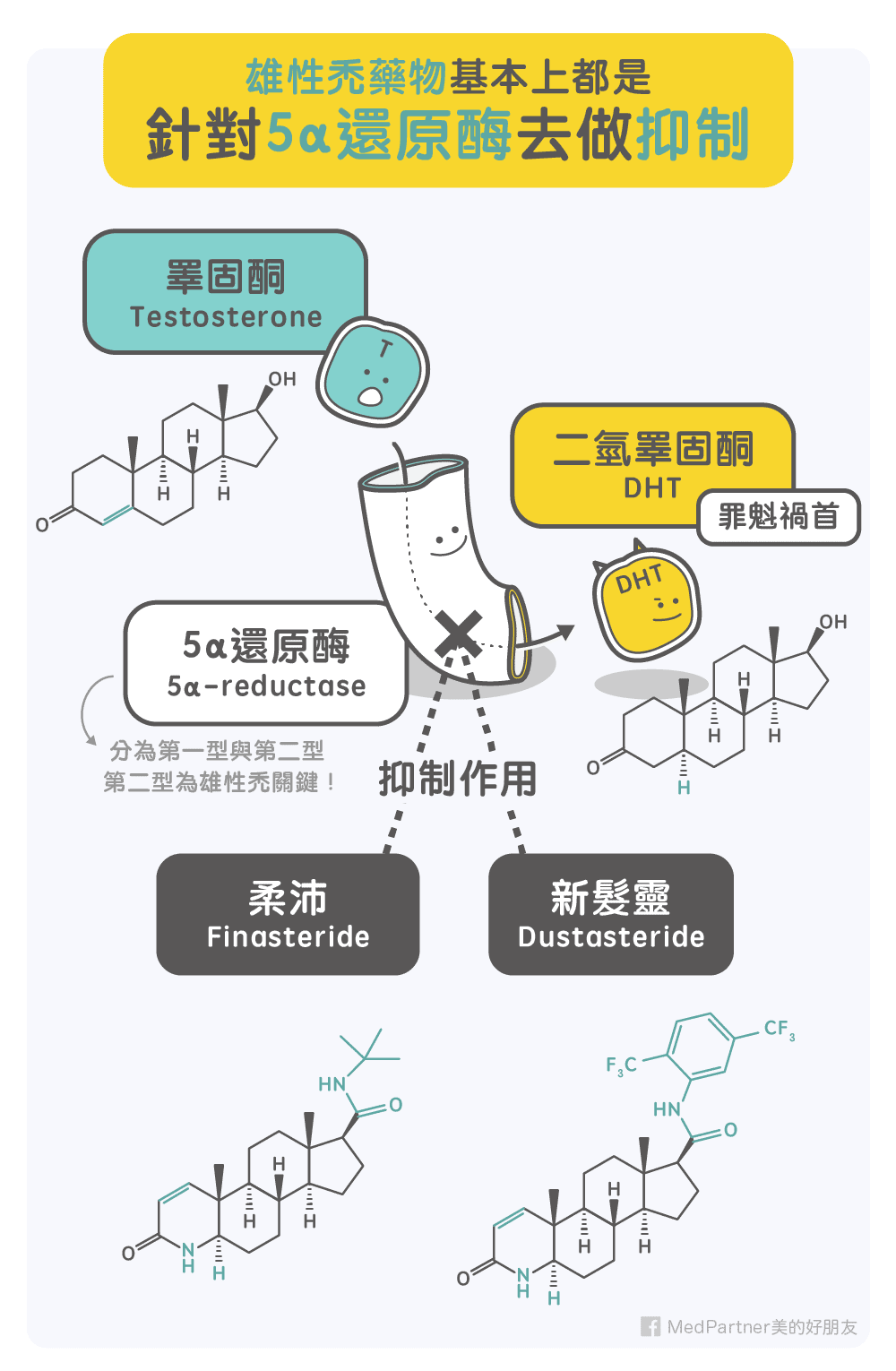 雄性禿藥物機制