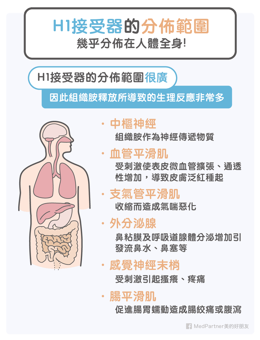 H1 接受器分布範圍