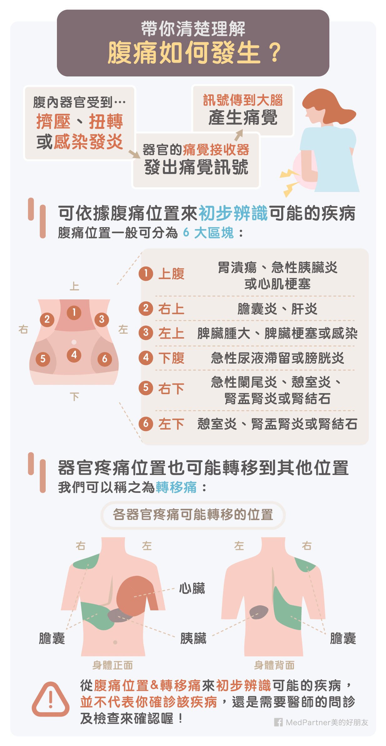 胃痛和腹痛如何區分 該緊急就醫或自我緩解 醫師完整教學 美的好朋友