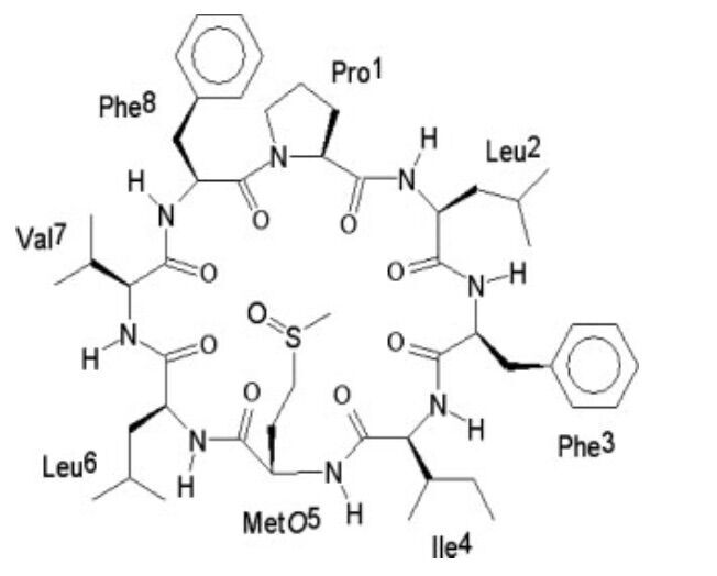 環狀胜肽（cylolinopeptide E）的結構