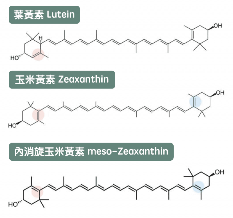 葉黃素、玉米黃素和內消旋玉米黃素的化學結構