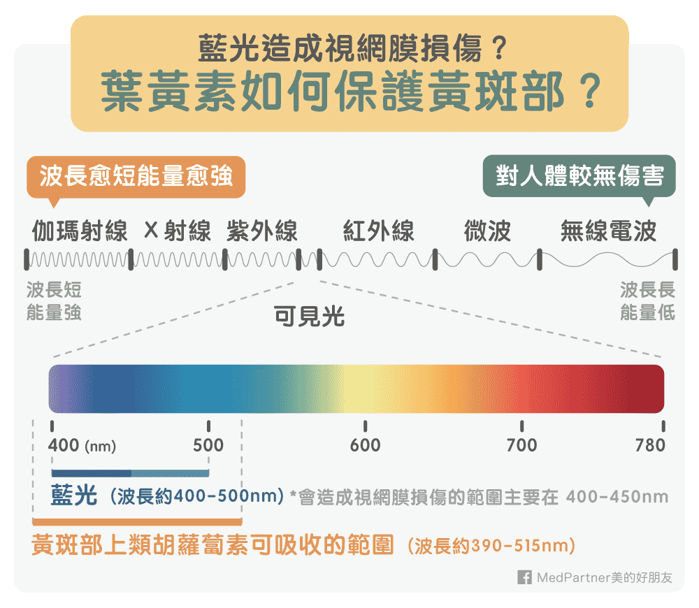 葉黃素吸收藍光