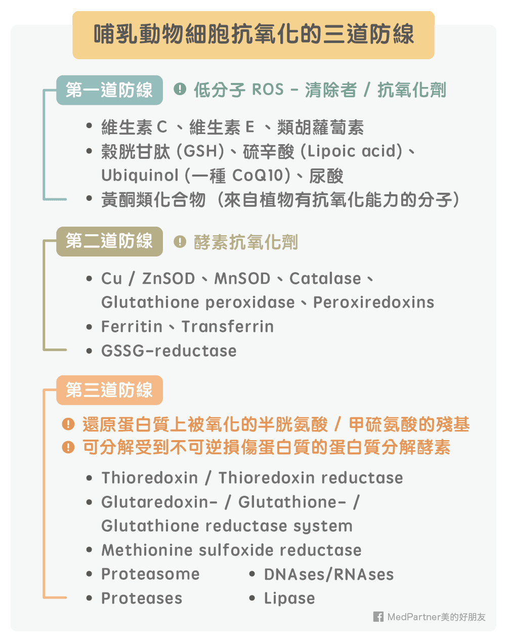 哺乳動物細胞抗氧化的三道防線