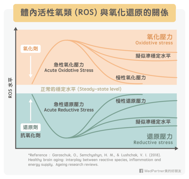 ROS與氧化還原的關係