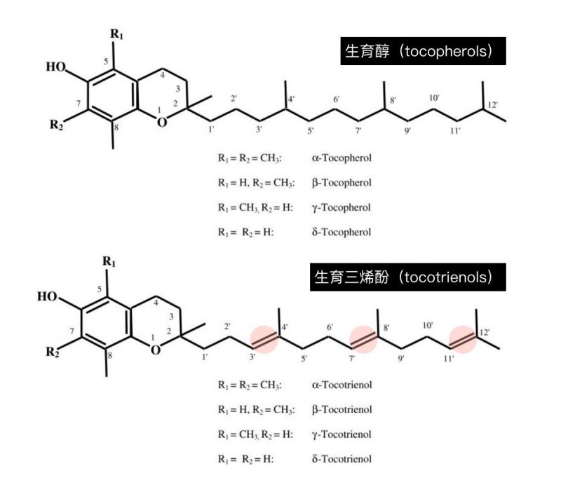 生育醇與生育三烯酚的結構