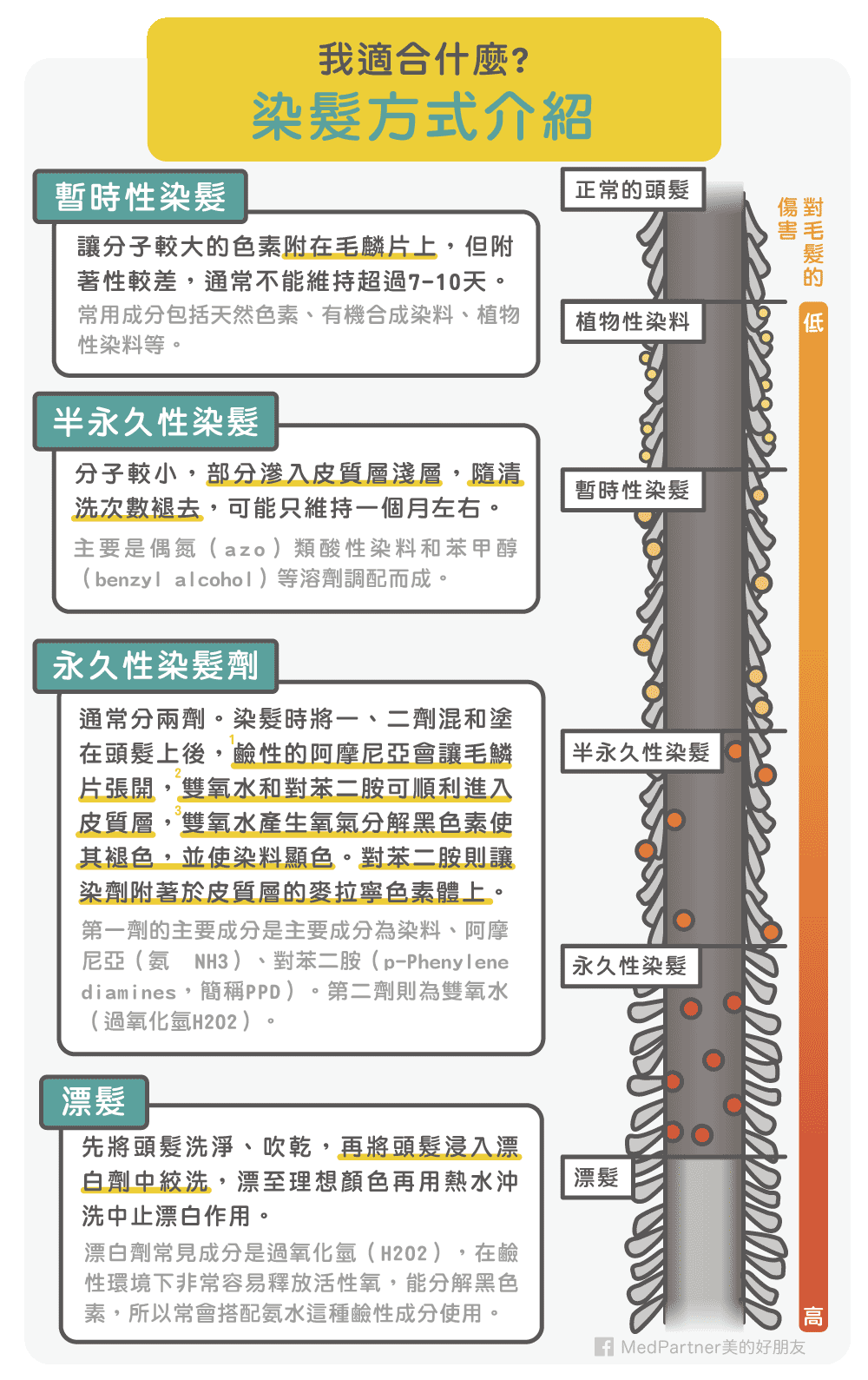 不同染髮方式介紹