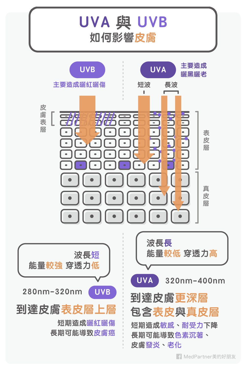 UVA與UVB如何影響皮膚