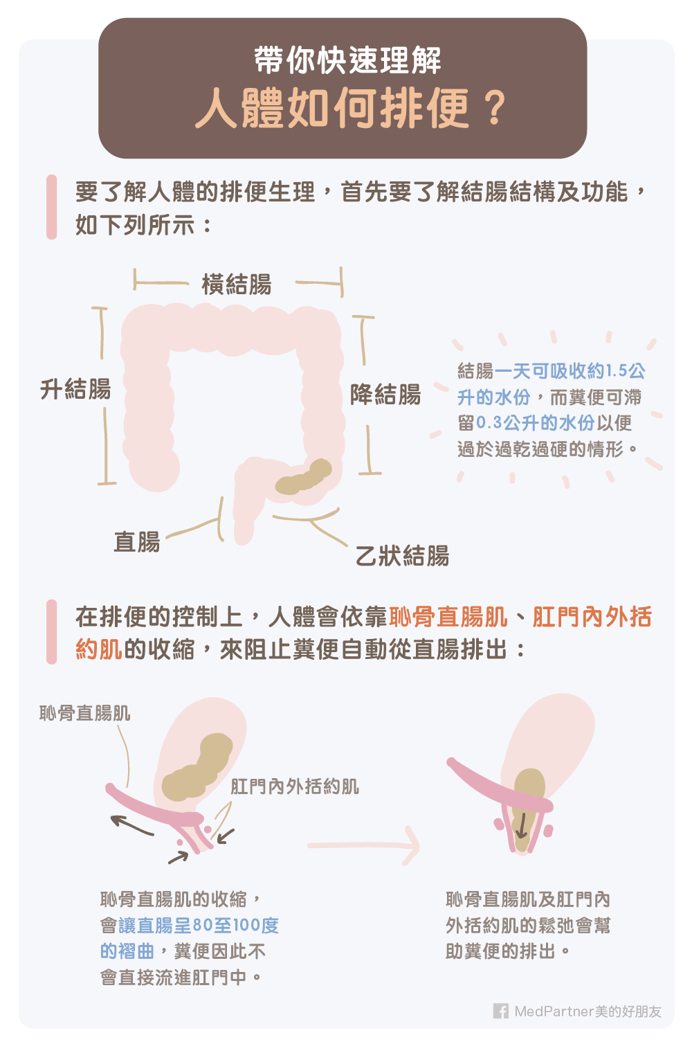 人體如何排便