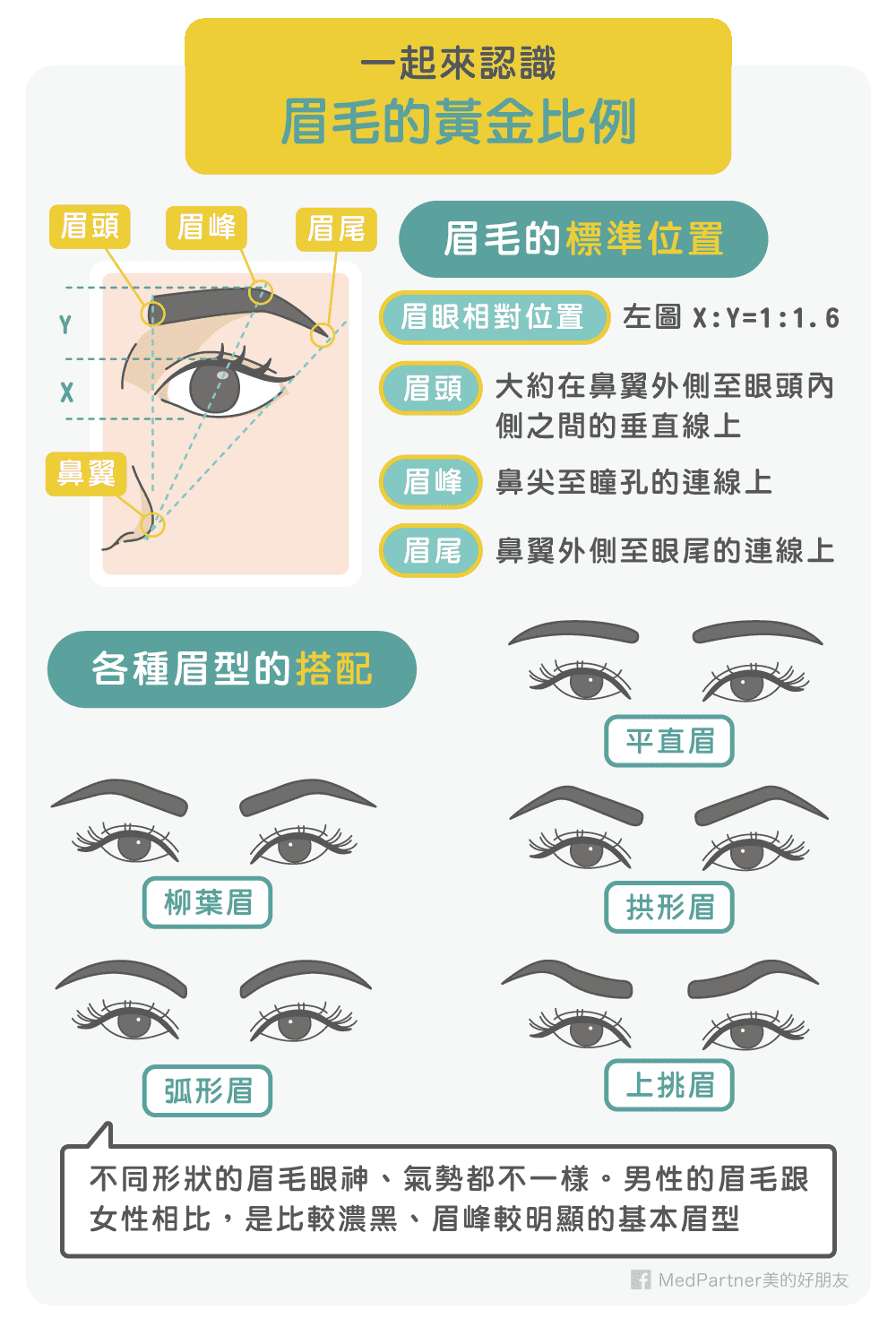 眉毛的黃金比例