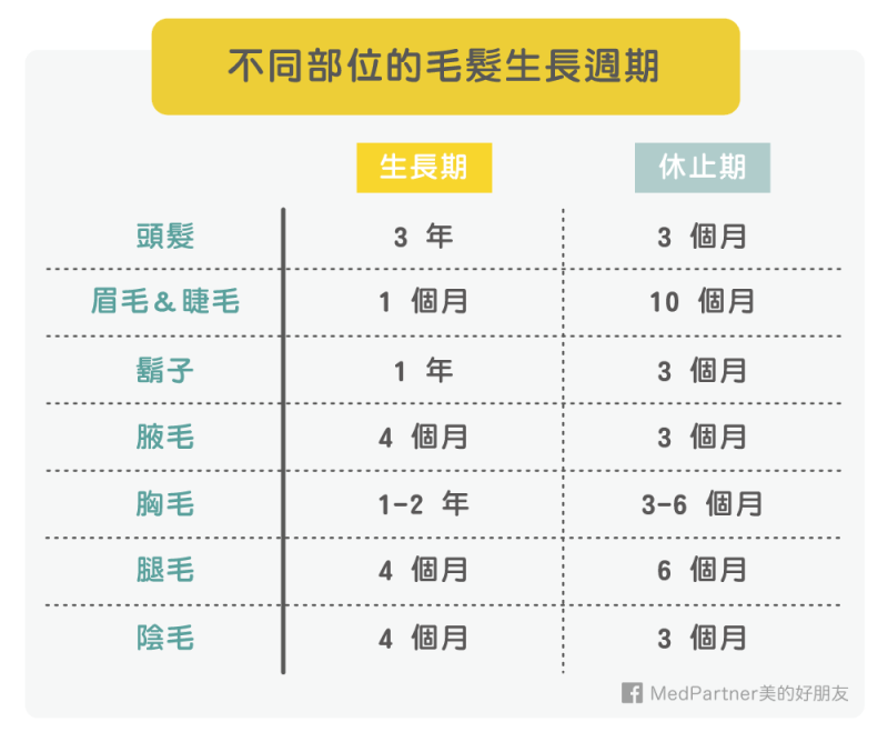 不同部位的毛髮生長週期