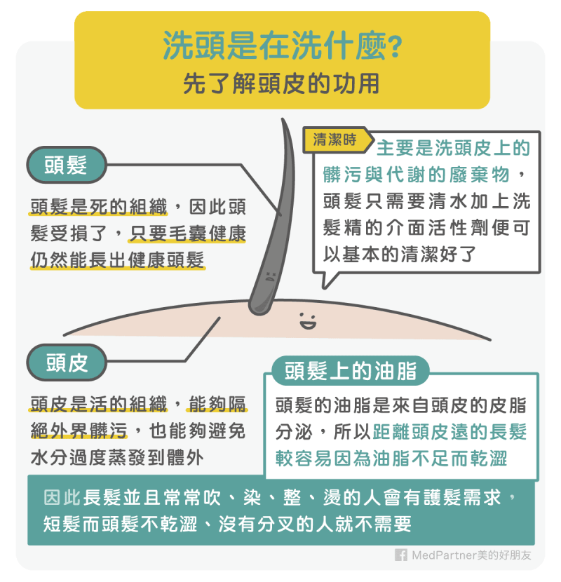 洗頭前先了解頭皮的功用