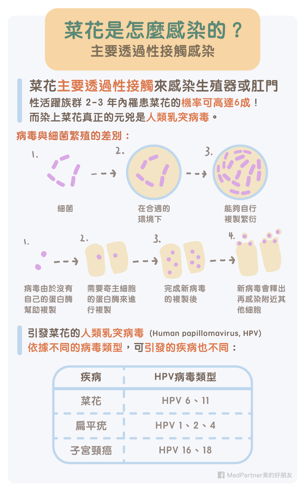 菜花感染途徑