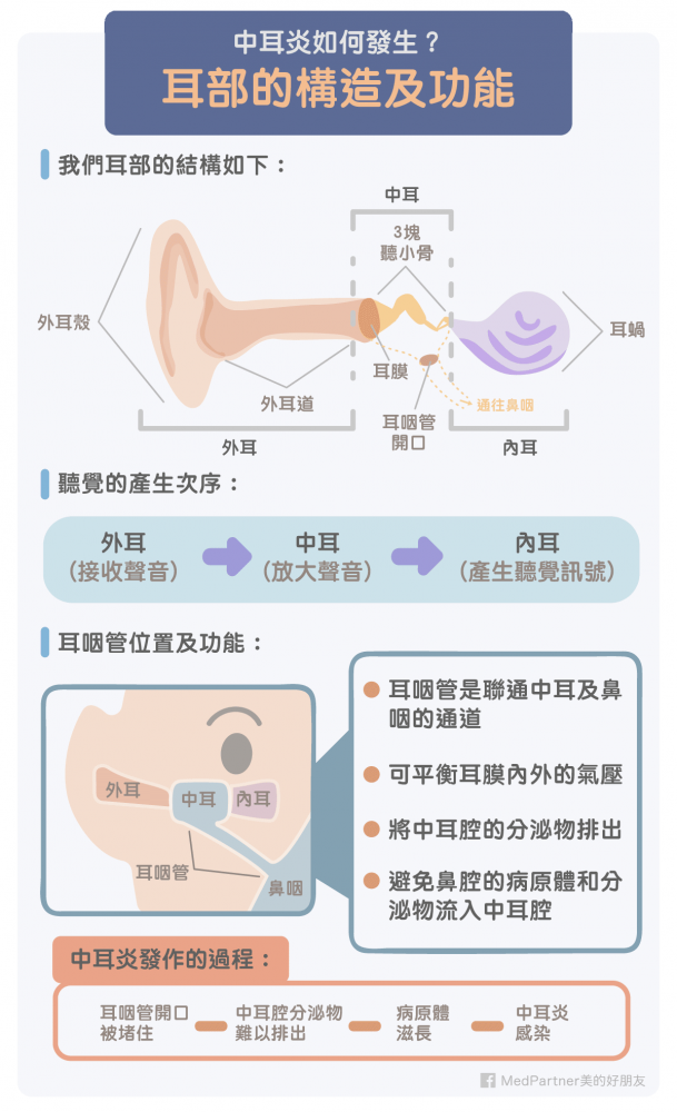 中耳炎怎麼辦？如何預防及治療？醫師5招完整解說！ | 美的好朋友