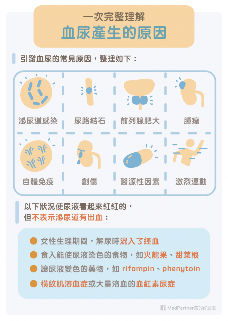 血尿原因有哪些？血尿如何治療與預防？醫師完整解說！ | 美的好朋友