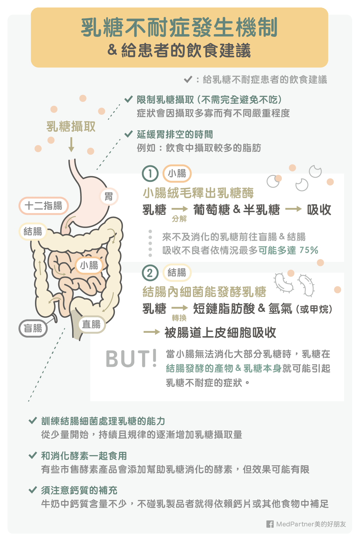 乳糖不耐症發生機制以及飲食建議