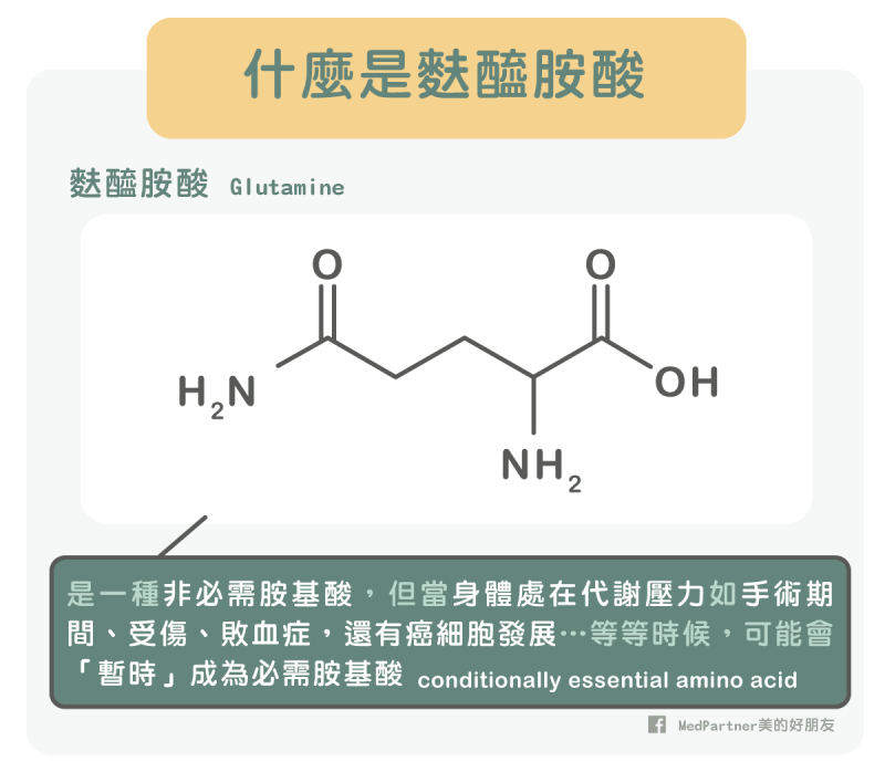 麩醯胺酸是什麼？