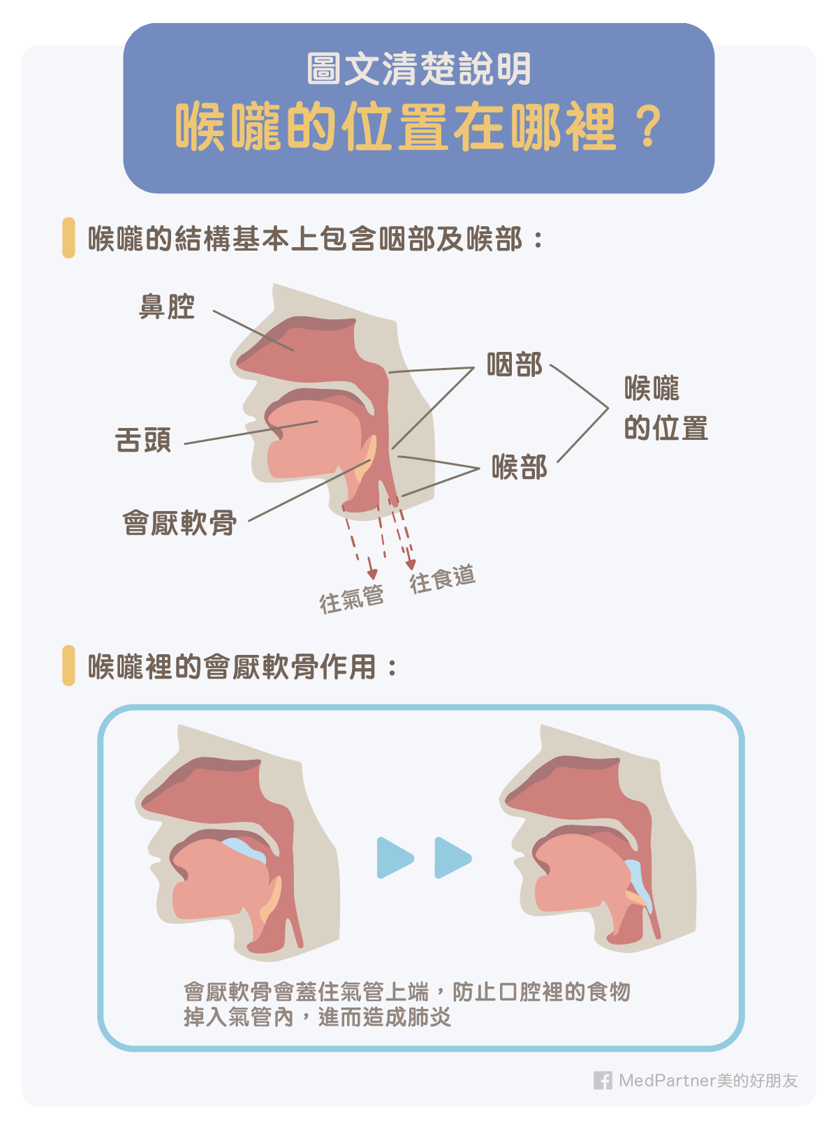 口腔咽部图_吞咽困难有异物感_吞咽异物感_咽部吞咽特别疼