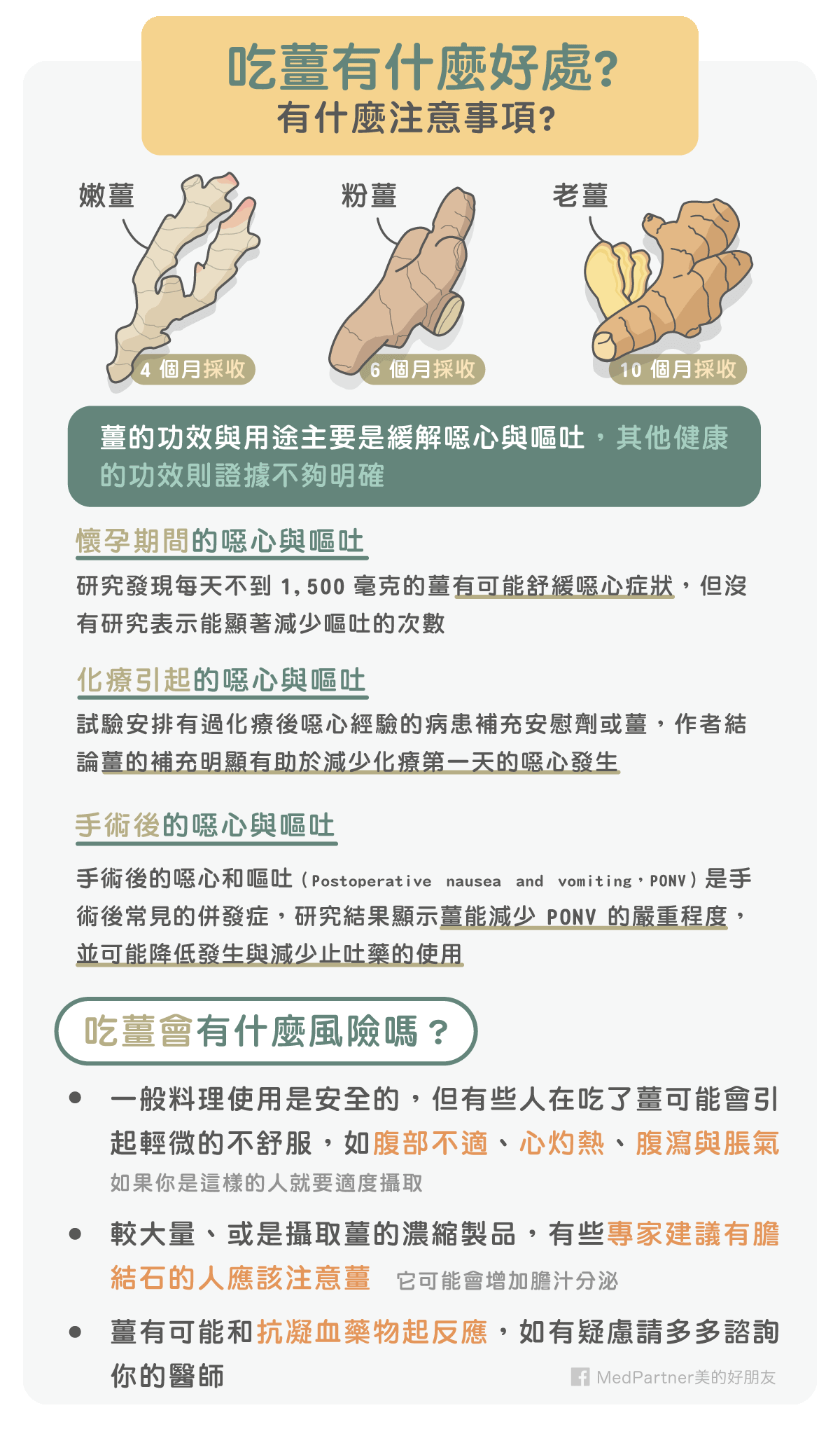 薑＿功效與風險