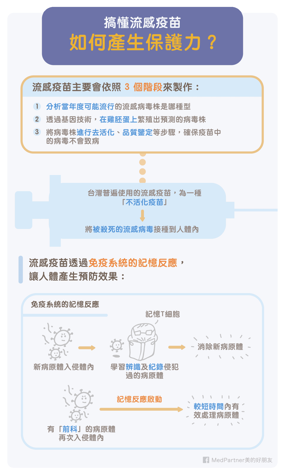 流感疫苗如何產生保護力