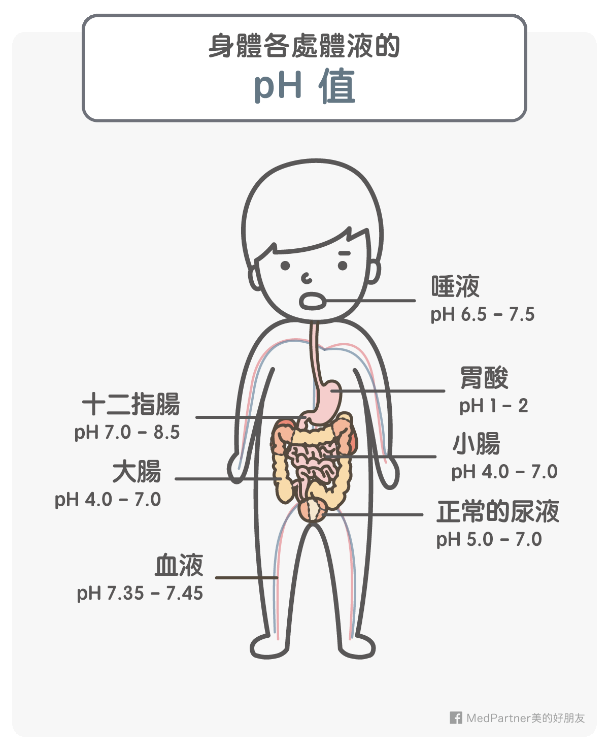 寶島眼鏡鹼性水_身體各處pH值