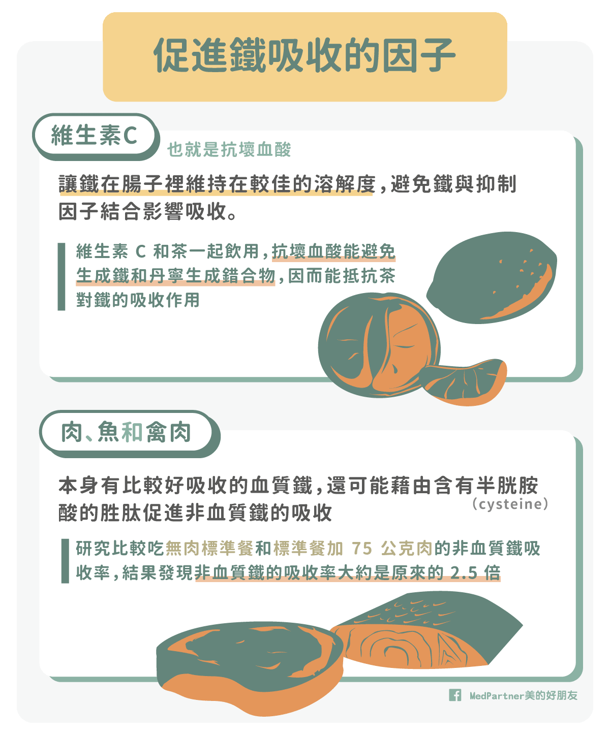 茶咖啡影響鐵吸收_促進因子