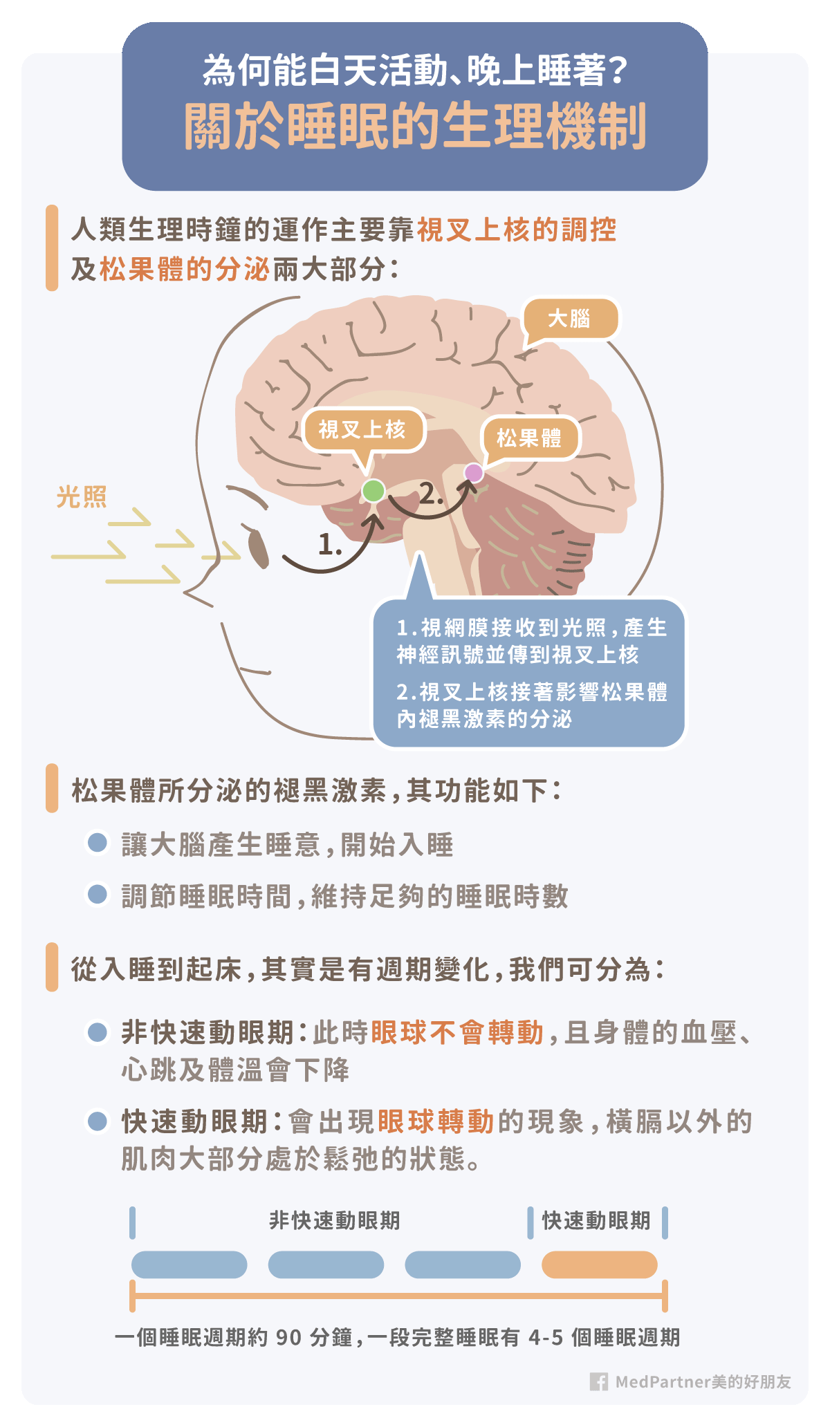 失眠_生理機制