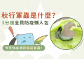 秋行軍蟲_特色圖片