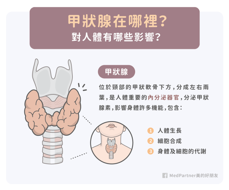 甲状腺 機能 亢進 症 症状をもとに甲状腺機能亢進症をチェック！原因や治療法も確認